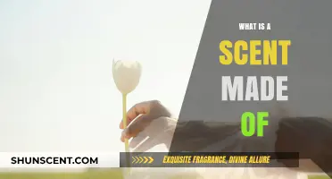 Unveiling the Essence: A Deep Dive into the Composition of Scents