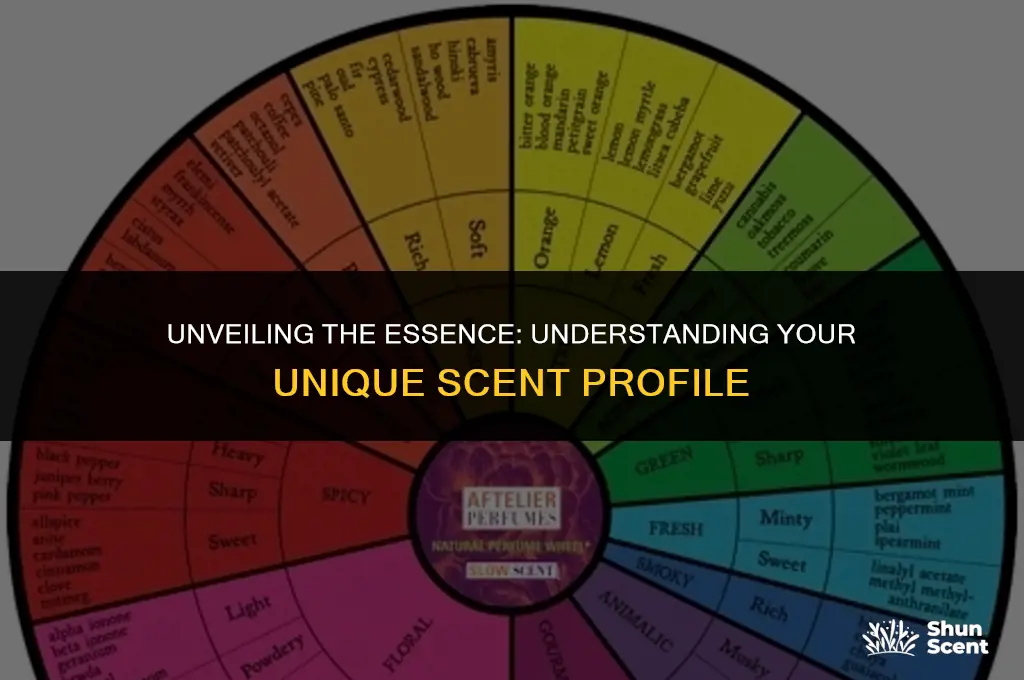 what is a scent profile