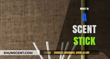 Unveiling the Magic: What Scent Sticks Are and How They Work