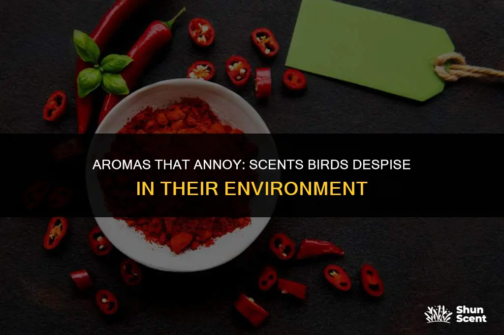 what is a scent that birds hate