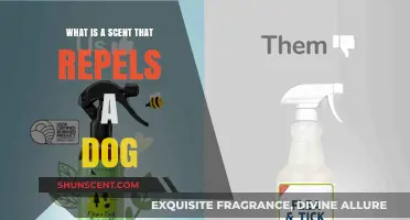 Discover the Secret Scent That Keeps Canines at Bay