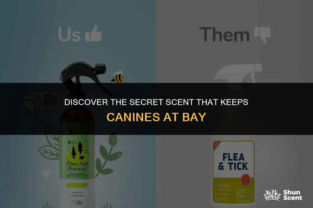 what is a scent that repels a dog