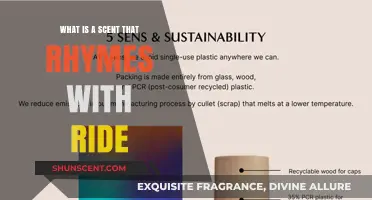 Fragrant Rhymes: Exploring Scents That Harmonize with 'Ride