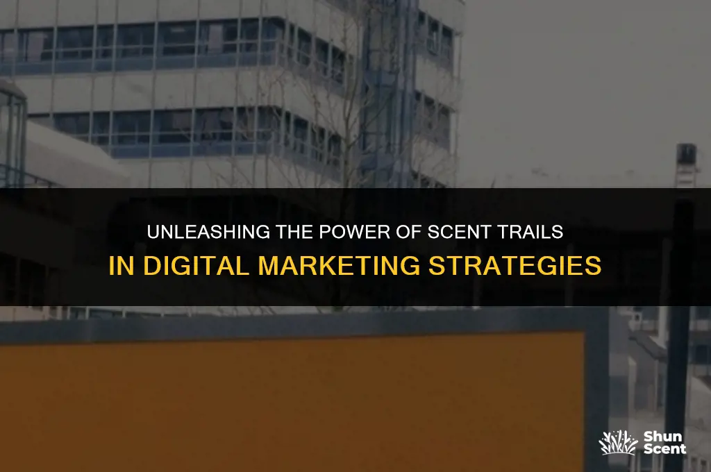 what is a scent trail digital marketing