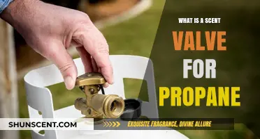 Understanding Scent Valves: A Crucial Component for Propane Safety