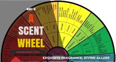 Exploring the Fragrant Spectrum: A Comprehensive Guide to Scent Wheels