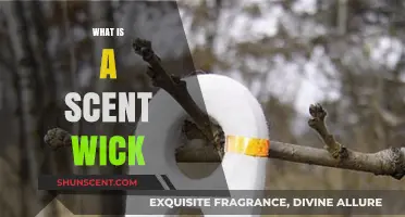 Unveiling the Mystery: What Is a Scent Wick and How Does It Work?