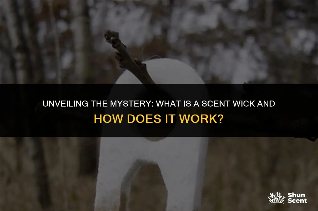 what is a scent wick