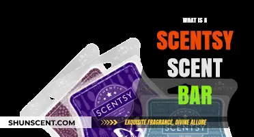 Discover the Magic: What Is a Scentsy Scent Bar?