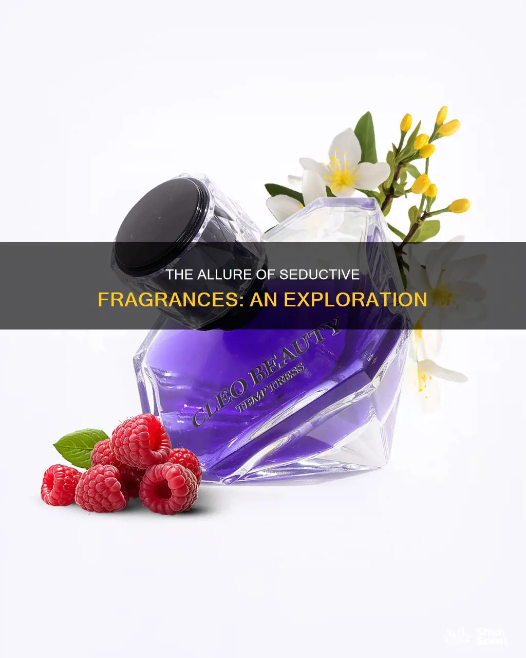 what is a seductive fragrance