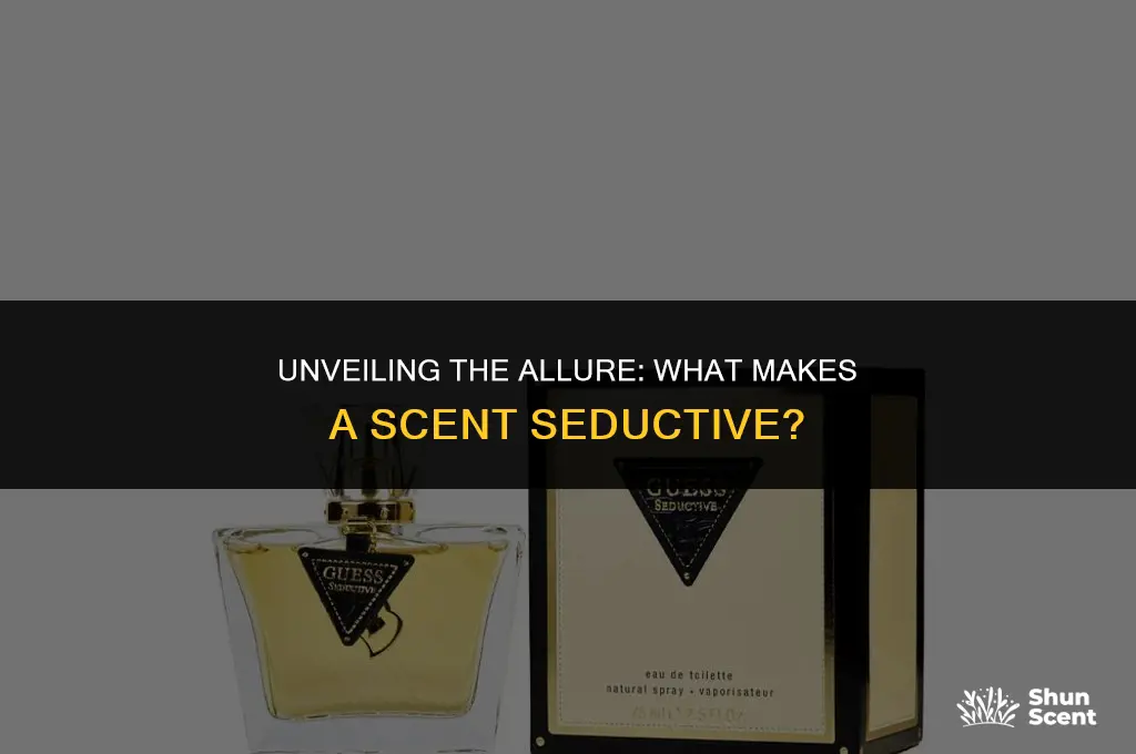what is a seductive scent