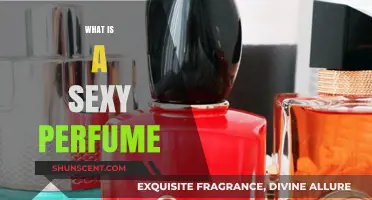 The Art of Sexy Scents: Perfumes that Attract