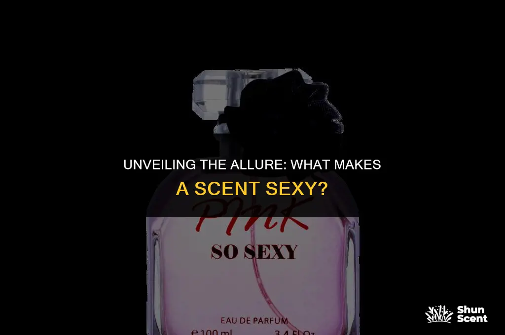 what is a sexy scent