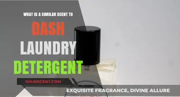 Fresh Alternatives: Exploring Scents Similar to Dash Laundry Detergent