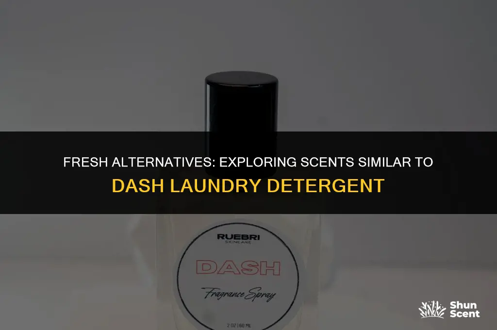 what is a similar scent to dash laundry detergent