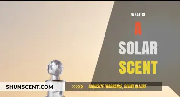 Unveiling the Mystery: What Is a Solar Scent?