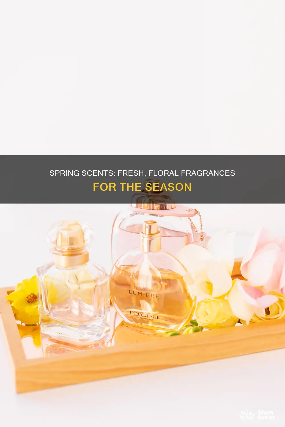 what is a spring fragrance