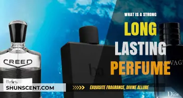 Long-Lasting Scents: How to Choose a Powerful Perfume