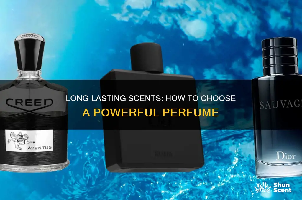 what is a strong long lasting perfume