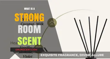 Discover the Power of Scent: Transform Your Space with a Strong Room Fragrance