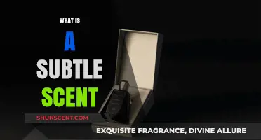Unveiling the Mystery: What Constitutes a Subtle Scent?