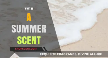 Capturing the Essence of Summer: A Fragrant Journey