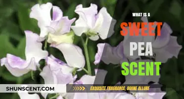 Exploring the Delicate Allure of Sweet Pea Fragrance