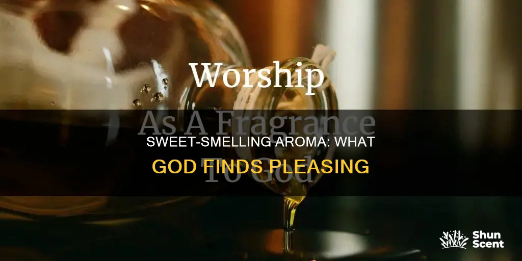 what is a sweet smelling aroma to god