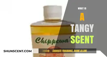Exploring the Zesty World of Tangy Scents: A Fragrant Journey