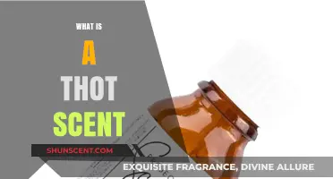 Exploring the Intriguing World of Thot Scents: A Beginner's Guide