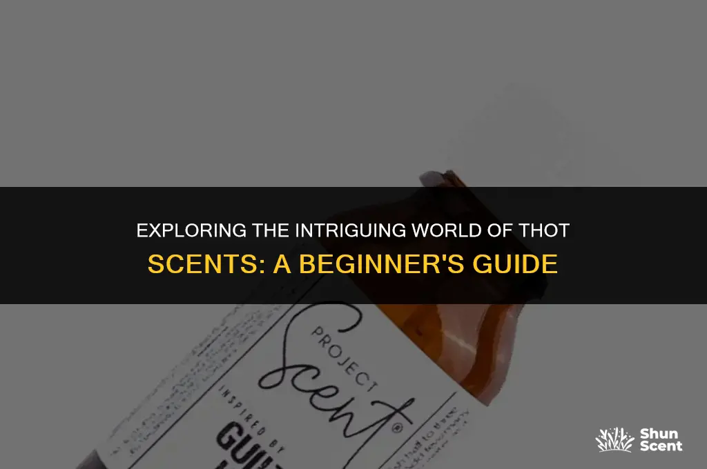 what is a thot scent