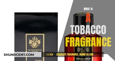 The Allure of Tobacco Fragrances: An Introduction