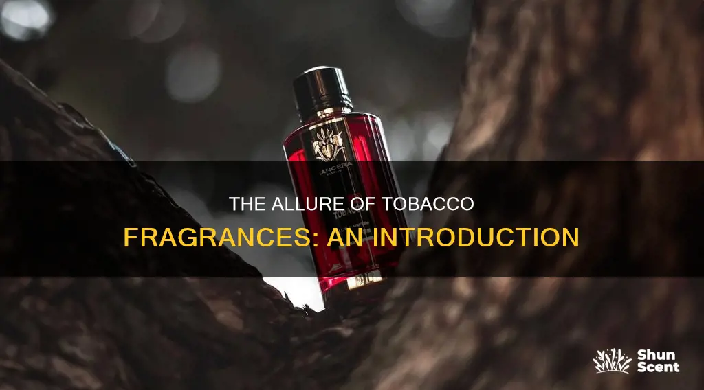 what is a tobacco fragrance