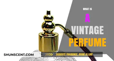 The Allure of Vintage Perfumes