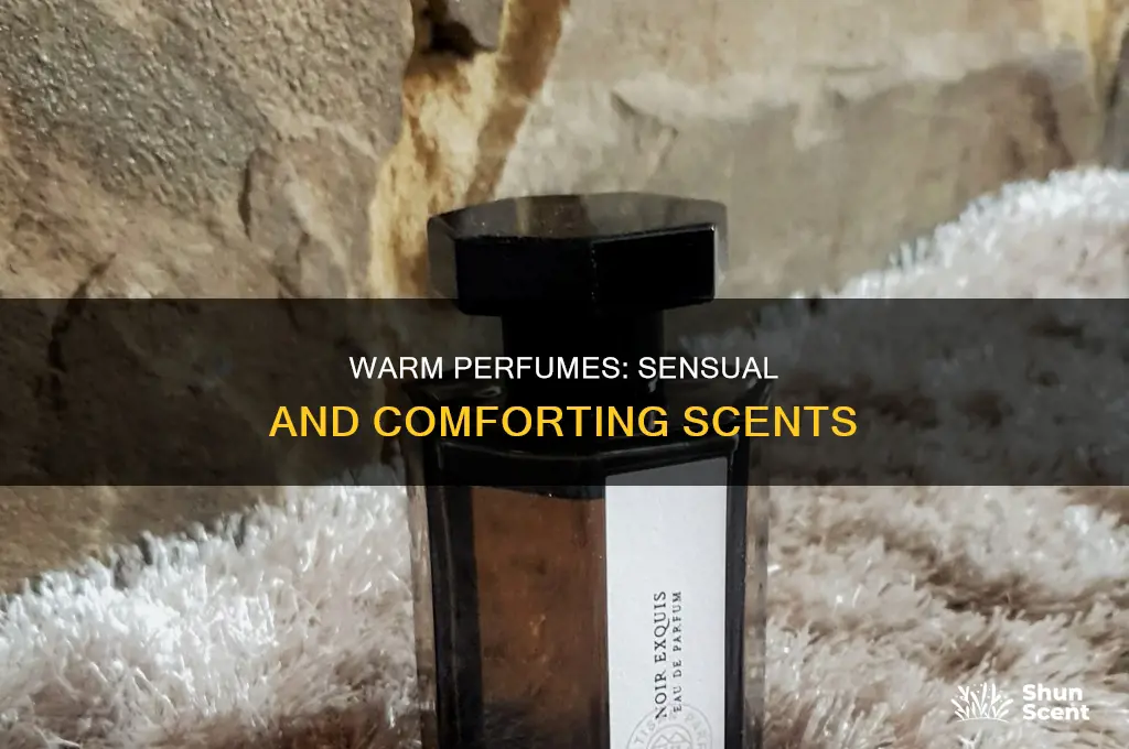 what is a warm perfume