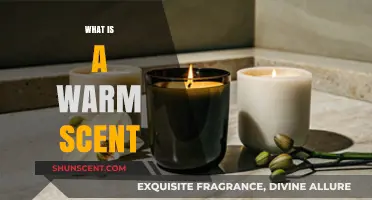Embracing Comfort: The Allure of Warm Scents in Our Lives