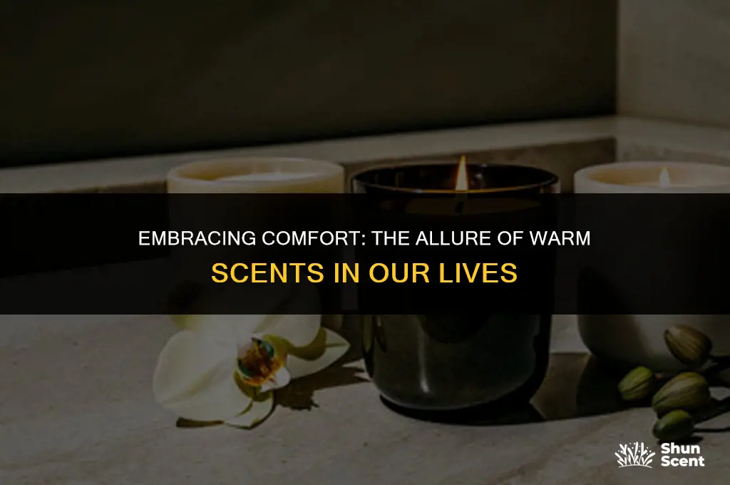 what is a warm scent
