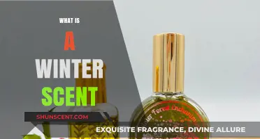 Embracing the Chill: Unveiling the Essence of Winter Scents
