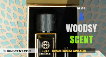 Exploring the Essence of Woodsy Scents: A Fragrant Journey