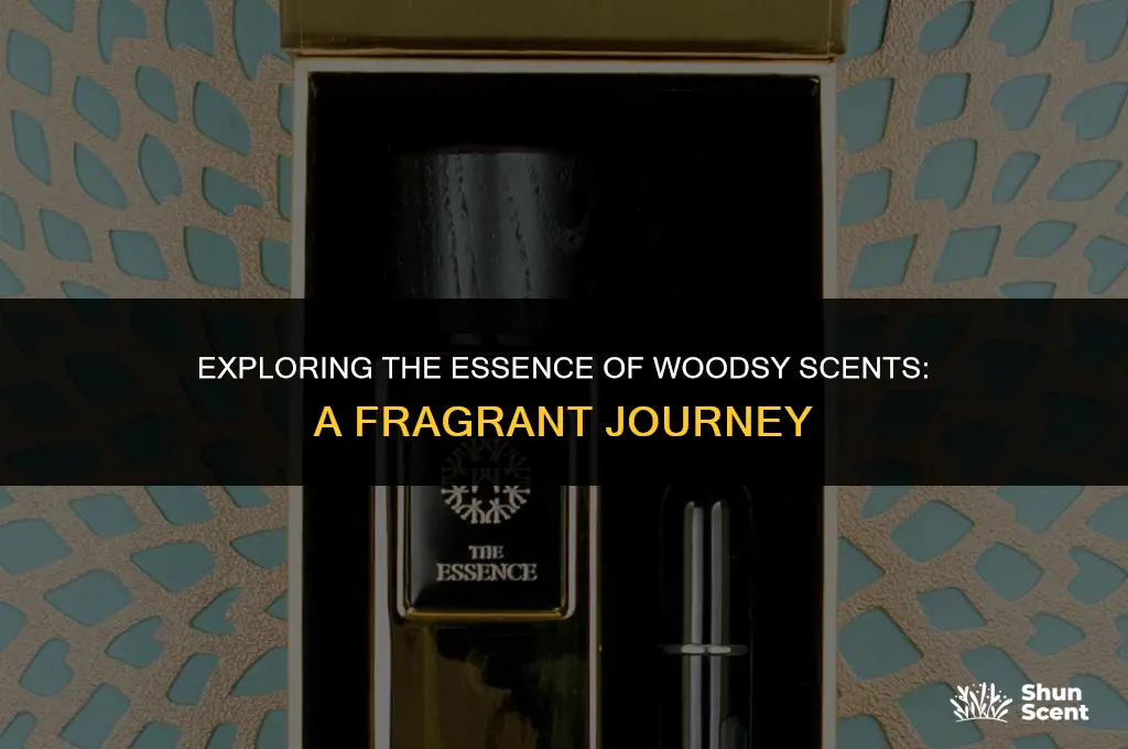 what is a woodsy scent