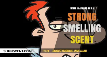 Exploring the Potent Realm of Strong Scents: A Lexicon