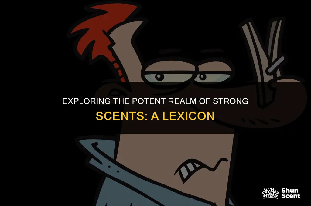 what is a word for a strong smelling scent