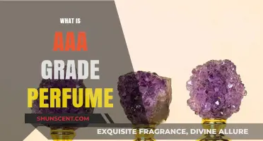 Understanding AAA Grade Perfumes: The Highest Quality Scents