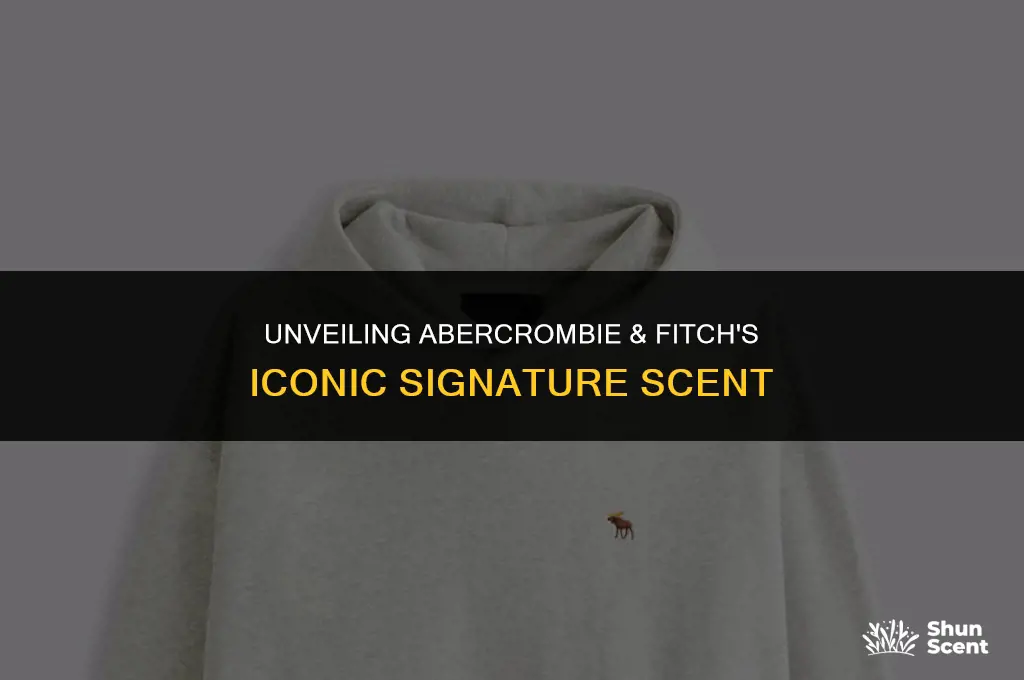 what is abercrombie & fitch