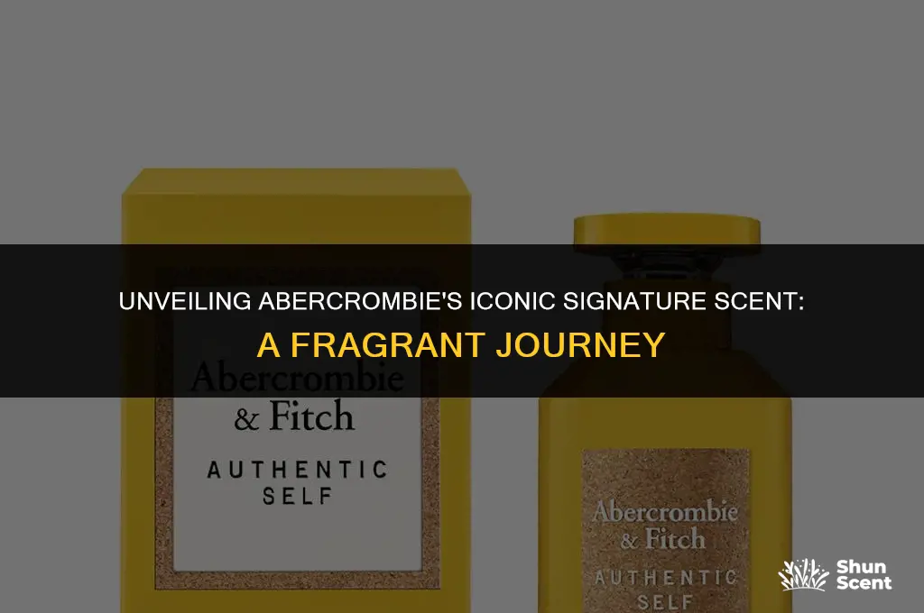 what is abercrombie signature scent