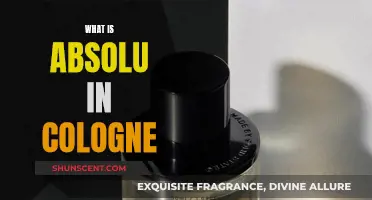 The Allure of Absolue in Cologne Fragrances