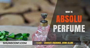 The Absolute Guide to Absolu Perfumes
