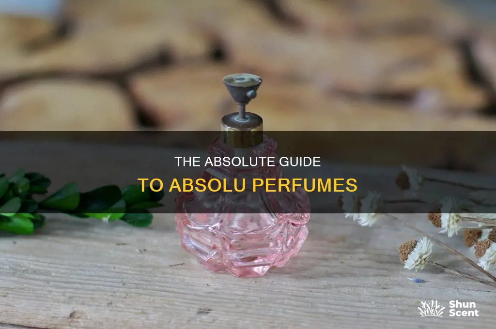 what is absolu perfume