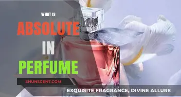 The Absolute Basics of Perfume