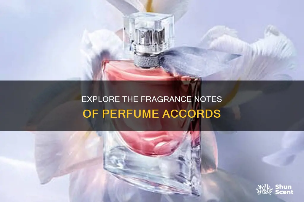 what is accord in perfume